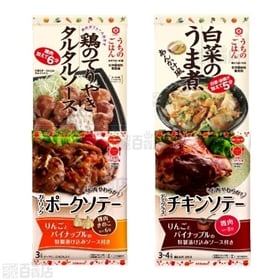 うちのごはん おそうざいの素・洋ごはんつくろ 洋風そうざいの素 4種計22個セット