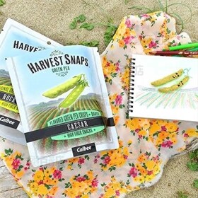 【48袋】HARVEST SNAPS ROCK SALT(ハーベストスナップス ロックソルト)