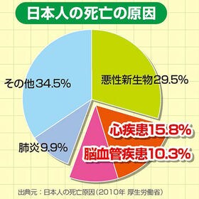 【第3類医薬品】ヘルスオイル