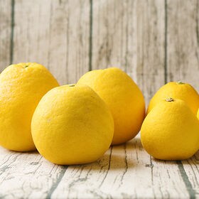 ちび玉宇和島ゴールド 10kg(約50玉)※家庭用