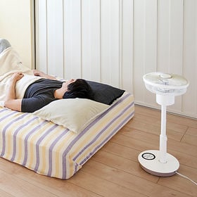 DOSHISHA(ドウシシャ)/逆回転機能付きリビングファン/FLU231DWH