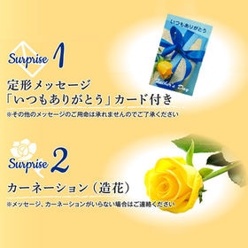 sakさま専用 予約受付】＜土日着＞父の日ギフト 山形県産さくらんぼ佐藤錦 L玉 秀品