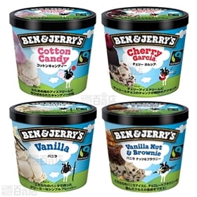 【8種各3個】ベン＆ジェリーズ(Ben&Jerry's) 8種セット