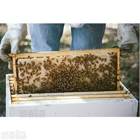 マヌカハニー(オーストラリア産) MGO250+ 250g