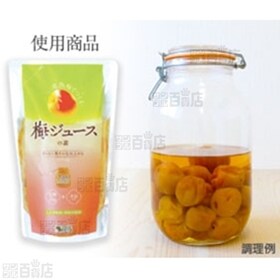梅ジュースの素 700ml