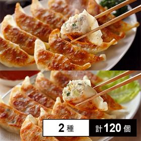 [冷凍]【2種計120個】豚嘻嘻(とんきっき) 宇都宮餃子食...