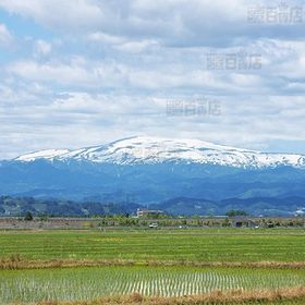 令和3年産 山形県産つや姫 (白米) 5キロ