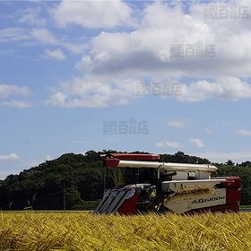 パールライスのお米 (白米) 5キロ