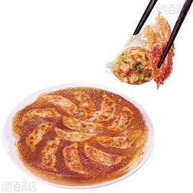 [冷凍]味の素冷凍食品 ギョーザ 12個×5袋