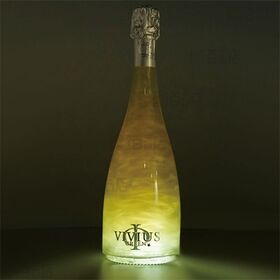 ヴィヴィウス シトラス(底面LED付) 750ml