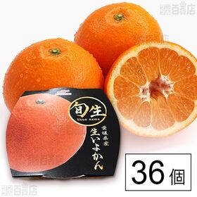 旬生 愛媛いよかん 200g