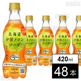 北海道夕張メロンソーダ 420ml