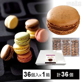 [冷凍]【1箱】ベルギー産冷凍マカロン チョコレート 36個