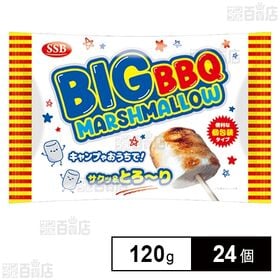 BBQ BIG マシュマロ 120g
