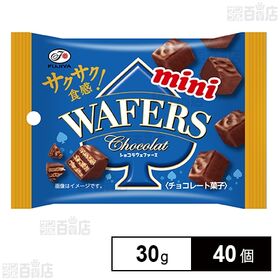 ショコラウェファースミニMP 30g