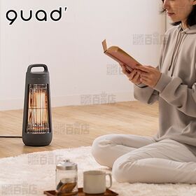 [グレー] QUADS(クワッズ)/自動首振り機能付き カー...