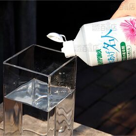 ハイポネックス 水あげ名人 600ml