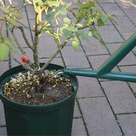 ハイポネックス リキダス 800ml