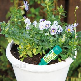 ハイポネックス いろいろな植物用ミネラルアンプル 30ml×10本入