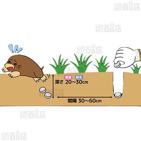 レインボー薬品 モグレス 200g