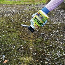 レインボー薬品 コケレス粒剤 コケ専用 除草剤 苔 450g