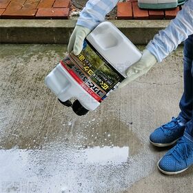 レインボー薬品 コケとーるシャワー コケ専用 2L