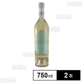 シャトー・ド・スール・レ・ゼサンス・ド・スール・ソーヴィニヨン・ブラン 2022 750ml ※ラベル不良あり