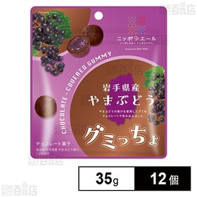 全農食品岩手県産やまぶどうグミっちょ 35g