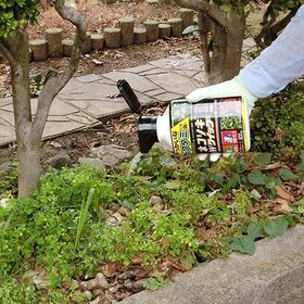 ＜農薬＞ レインボー薬品 ネコソギWクイック 600g