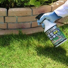 ＜農薬＞ レインボー薬品 シバキープエースシャワースプレー 900ml