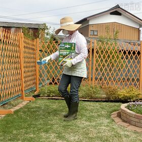 ＜農薬＞ レインボー薬品 シバキープIII粒剤 3Kg