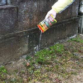 ＜農薬＞ レインボー薬品 ネコソギエースV粒剤 100g