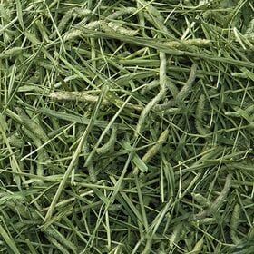 バニーグレード チモシー 1kg