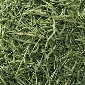 バニーグレード チモシー 550g