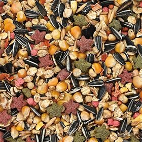 バランスフードプラス徳用 800g