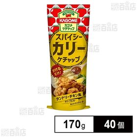 スパイシーカリーケチャップ 170g