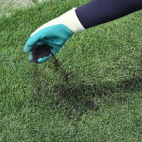 花ごころ まいてすぐ青々よみがえる芝の改良材 4L