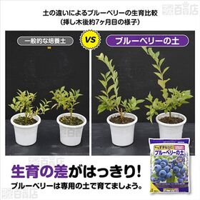花ごころ ブルーベリーの土 5L
