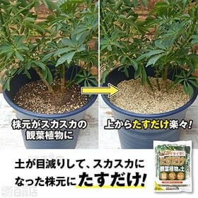 花ごころ たすだけ観葉植物の土 3L