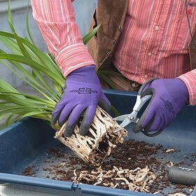 花ごころ 洋らんバーク 5L