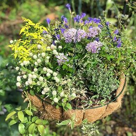花ごころ ハンギング・寄せ植えの土 5L