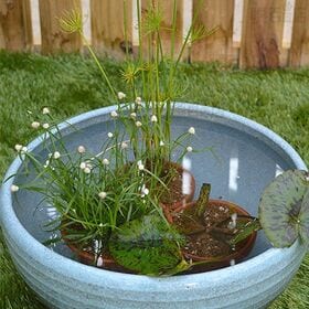 花ごころ 水生植物の土 培養土 2L