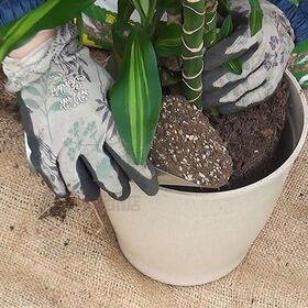 花ごころ 観葉植物の土 5L