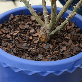 花ごころ バラ専用マルチングチップ 肥料 培養土 5L