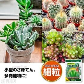 花ごころ さぼてん多肉植物の土(細粒) 5L