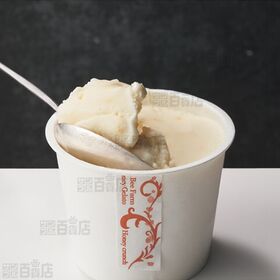 山田養蜂場 はちみつと野菜のやさしいジェラート 10個入