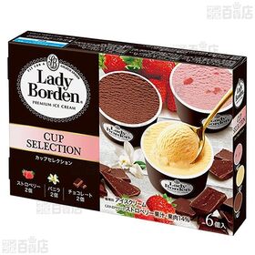 [冷凍]ロッテ レディーボーデン マルチカップセレクション 450ml(6個入)×10箱