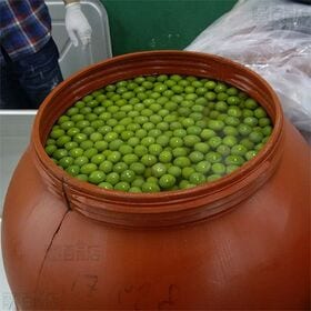 [冷蔵]シェリーズ オリーブの実 60g×6個