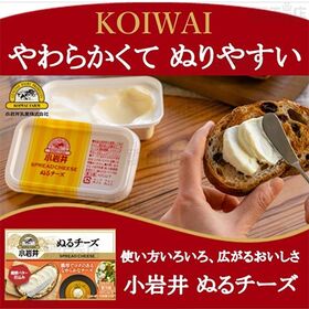 [冷蔵]小岩井乳業 小岩井 ぬるチーズ 90g×3個