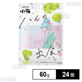 小梅 ハルの出会い 60g(個包装込み)